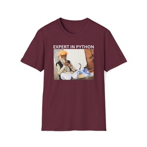 Experte für Python-Shirt, Python-Programmierer-Shirt, Software-Entwickler-Shirt, Ingenieur-Geschenk, Daten-Wissenschaftler-Shirt, KI-Forscher, analytiker-Shirt Bild 4