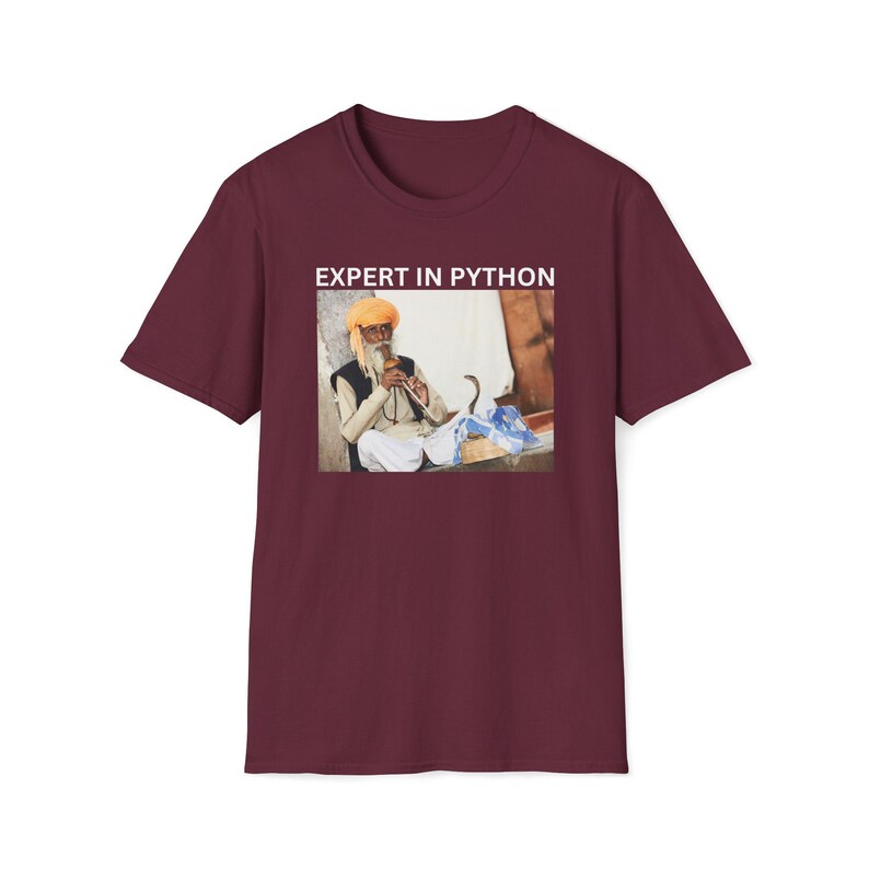Experte für Python-Shirt, Python-Programmierer-Shirt, Software-Entwickler-Shirt, Ingenieur-Geschenk, Daten-Wissenschaftler-Shirt, KI-Forscher, analytiker-Shirt Bild 4
