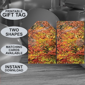 Etichette regalo stampabili con tema colore autunnale. Aspetto della pittura ad acquerello. Adatto a tutte le occasioni. Scaricamento digitale. Design originale.