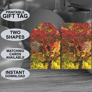 Etichette regalo stampabili con tema colore autunnale. Aspetto della pittura ad acquerello. Adatto a tutte le occasioni. Scaricamento digitale. Design originale.