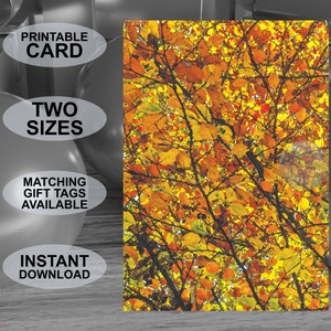 Carte de vœux imprimable sur le thème des couleurs d’automne. Aspect aquarelle. Convient à toutes les occasions. Téléchargement numérique. Dessin original.