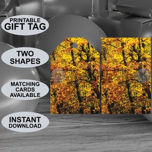 Etichette regalo stampabili con tema colore autunnale. Aspetto della pittura ad acquerello. Adatto a tutte le occasioni. Scaricamento digitale. Design originale.