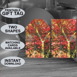Etichette regalo stampabili con tema colore autunnale. Aspetto della pittura ad acquerello. Adatto a tutte le occasioni. Scaricamento digitale. Design originale.