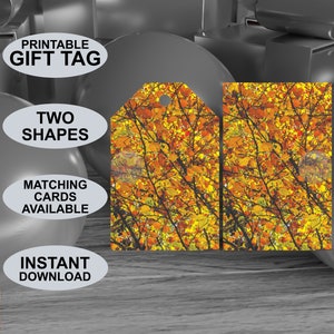 Etichette regalo stampabili con tema colore autunnale. Aspetto della pittura ad acquerello. Adatto a tutte le occasioni. Scaricamento digitale. Design originale.