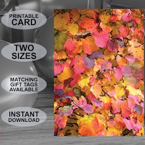 Tarjeta de felicitación imprimible con tema de color otoñal. Aspecto de pintura de acuarela. Apto para todas las ocasiones. Descarga digital. Diseño original.