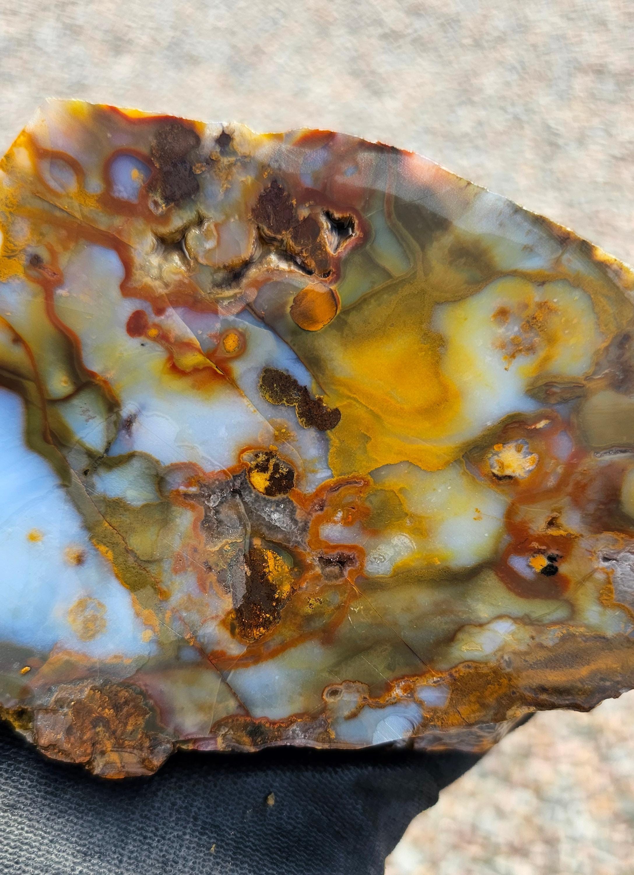 2lb 6oz Polka Dot Agate Rough Cut Oregon - Etsy