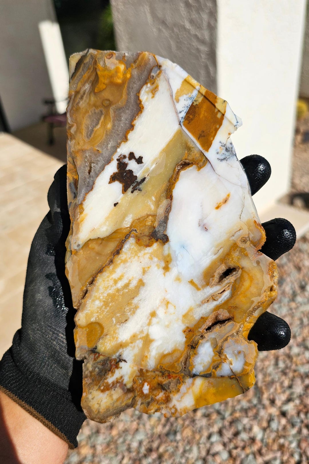 3.125lb Polka Dot Agate Rough Cut Oregon - Etsy
