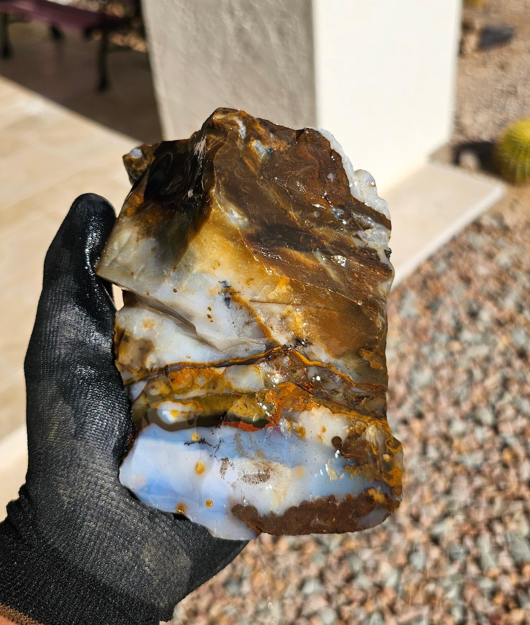 3.5lb Polka Dot Agate Rough Oregon - Etsy