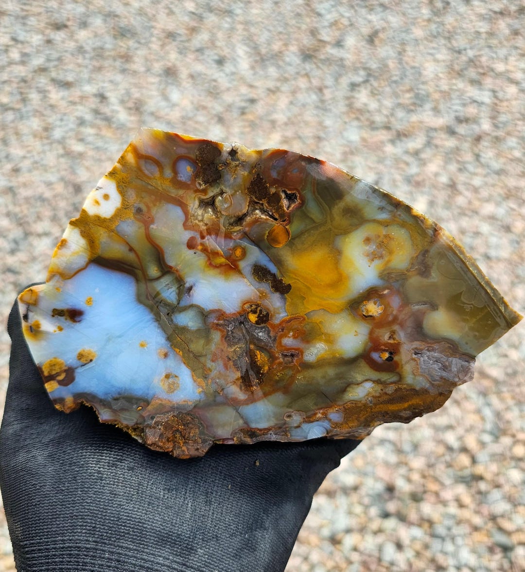 2lb 6oz Polka Dot Agate Rough Cut Oregon - Etsy