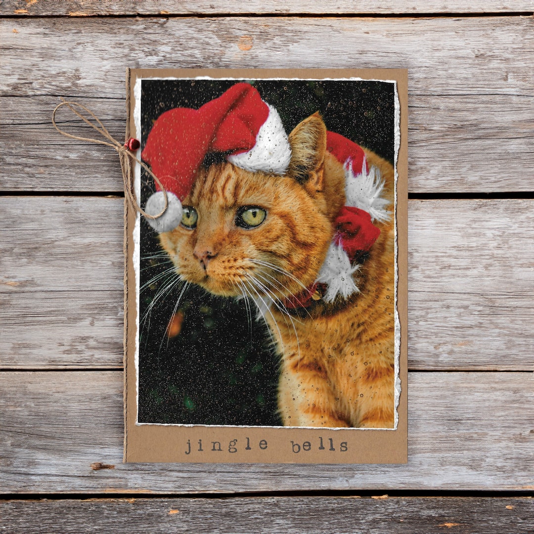 Jingle Bells Cat Themed Christmas Greetings Cards 127x178mm 5x7 Etsy