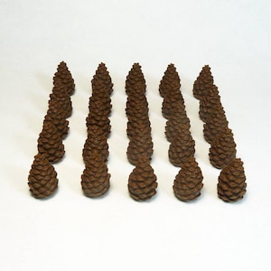 Nature tokens for Cascadia