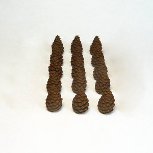 Nature tokens for Cascadia: Landmarks