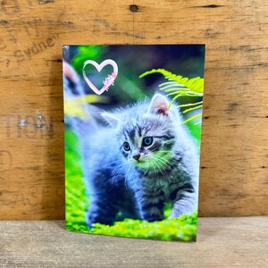 Carte chaton mignon - téléchargement immédiat - voeux d'anniversaire imprimable pour les proches