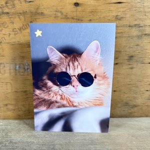 Cool chat carte - téléchargement immédiat - voeux d'anniversaire imprimable pour les proches