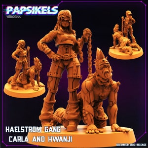 Cyber. December 2023 II. Haelstrom Gang
