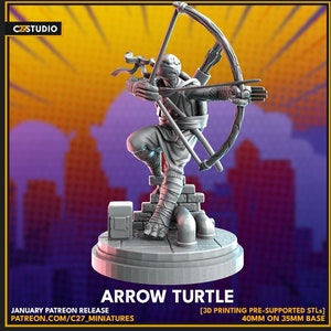 Arrow Turtle