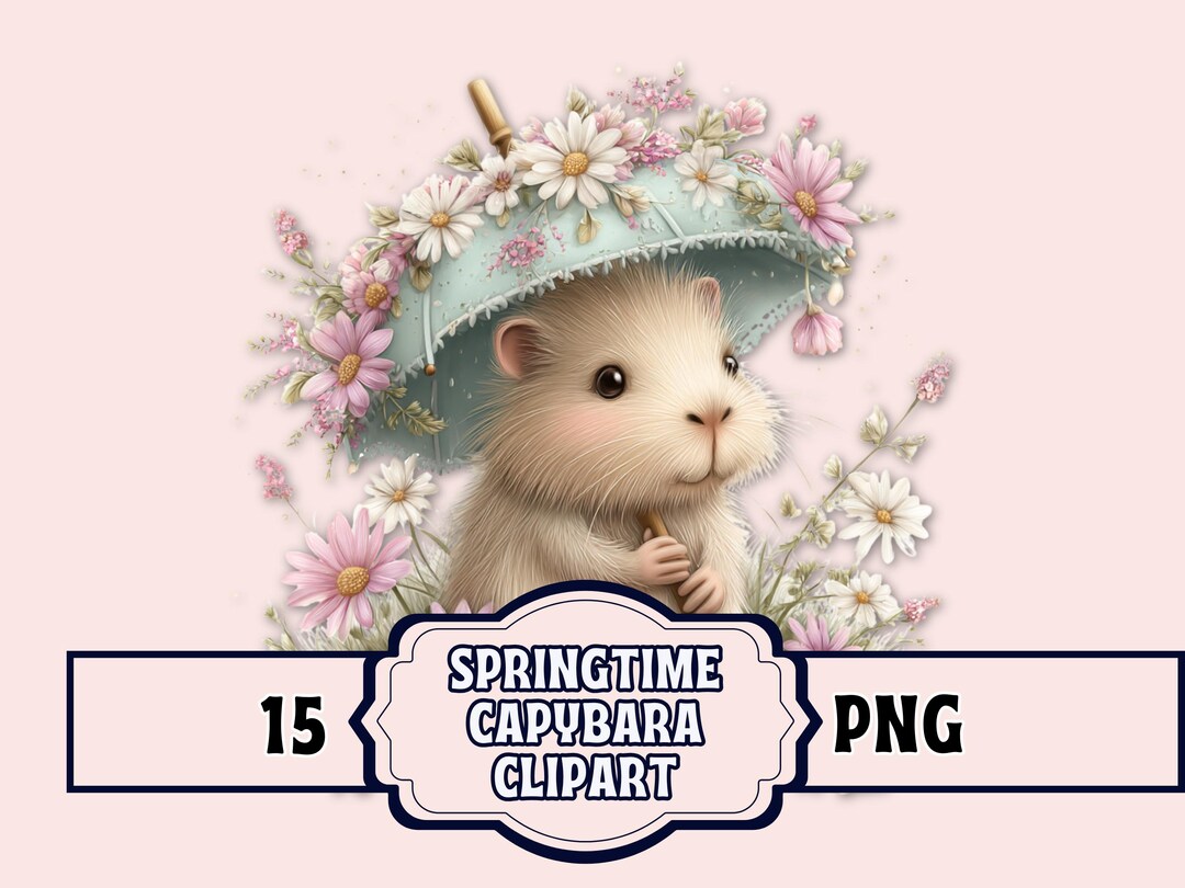 Spring Capybara Printable Springtime Capybara Clipart Bundle: 15 PNG Files, Digital Download - Etsy