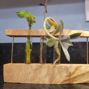 Wooden plant stand floral design propagation test tubes
