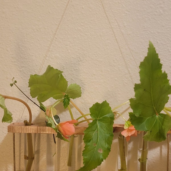 Hanging floral wooden plant stand propagation test tubes