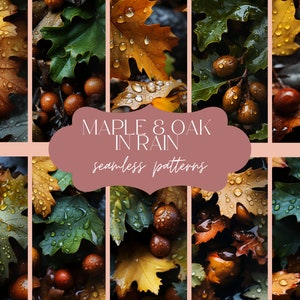 May include: A digital collage of seamless patterns featuring autumn leaves in shades of brown, green, and yellow with raindrops. The leaves are maple and oak. The text "Maple & Oak in Rain seamless patterns" is in the center of the image.