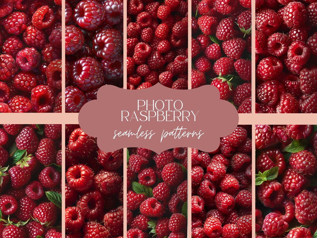 Light Raspberry Textured Background 12 Raspberry Photo Texture | Seamless Botanical Berry Pattern | Summer ...