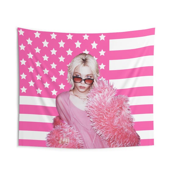 Skz Felix Do It Pink American Flag, Stray Kids Concert Banner, SKZ