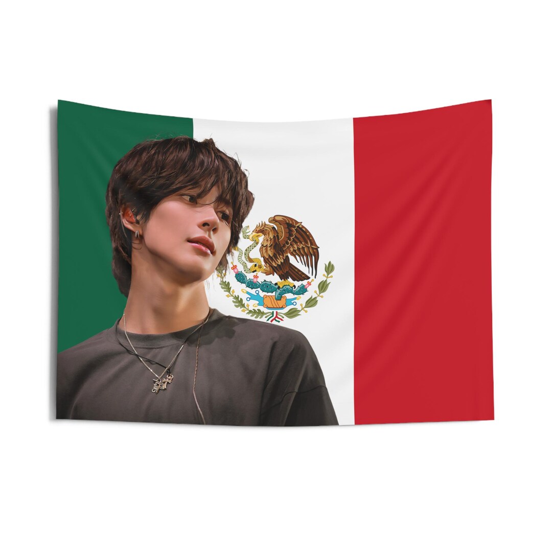 Riize Anton Insane Visuals Mexican Flag, Riize Concert Banner, Riize ...