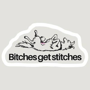 Bitches Get Stitches sticker