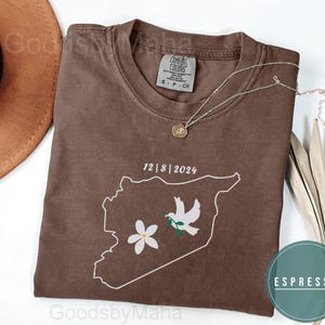 T-shirt couleur confort Syrie gratuit, chemise syrienne Freedom, t-shirt drapeau carte du pays, cadeau pour ami arabe, t-shirt jasmin mignon, t-shirt damas alep