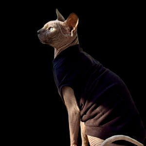 May include: A hairless Sphynx cat in profile view, wearing a solid black sleeveless shirt. The cat has wrinkled skin, large pointed ears, and light-coloured eyes, positioned against a solid black background, showcasing the garment's fit.