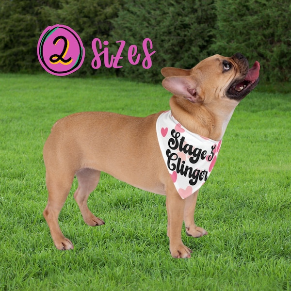 Stage 5 Clinger Pet Bandana, Drool Rag, Dog Apparel, Tie On Bandana, Pet Gift