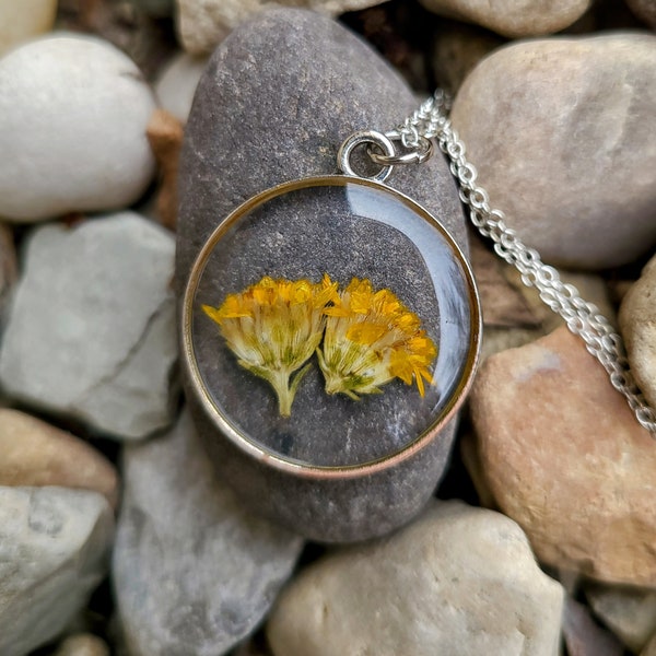 Stiff-leaved Goldenrod Flower Necklace