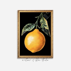 Moody Lemon Print: Vintage French Kitchen Still Life (Digital Download