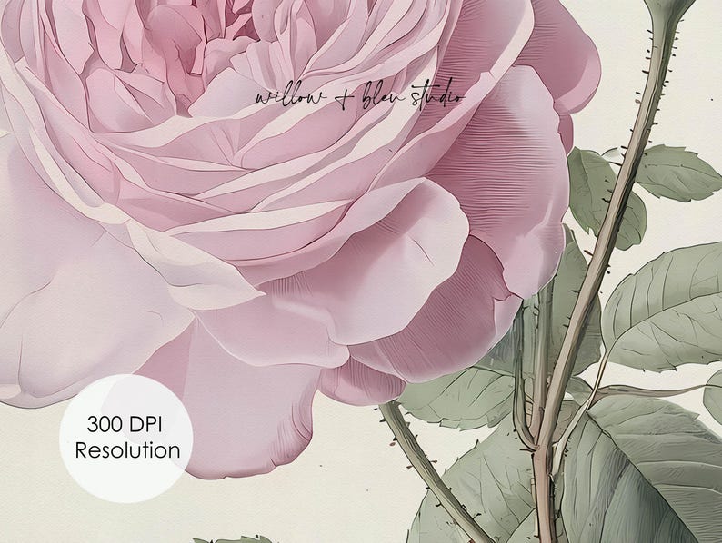 Vintage Pink Rose Botanical Printable, Romantic Cottage Wall Art ...