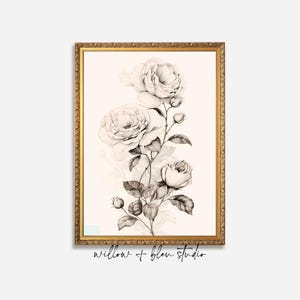 Vintage rose sketch printable wall art, neutral floral botanical illustration print, cottage farmhouse nursery decor, digital download