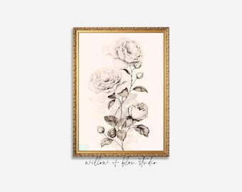 Vintage Rose Sketch Printable Art, Antique Botanical Drawing, Cottagecore Digital Download