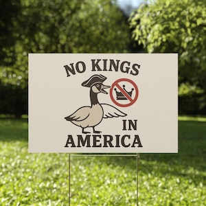 Subtle Anti Trump Protest Plastic Yard Sign, No Kings in America 1776, Political Activist Lawn Decoration, Resistance Rebel Alliance FDT