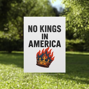 Subtle Anti Trump Protest Plastic Yard Sign, No Kings in America 1776, Political Activist Lawn Decoration, Resistance Rebel Alliance FDT