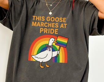 T-shirt de la fierté LGBTQ, cadeau de mars, t-shirt arc-en-ciel, cadeau unisexe du mois de la fierté de Silly Goose, progrès de la justice sociale, haut droits trans, inclusif