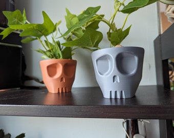 May include: Two skull-shaped planters, one gray and one terracotta, with green leafy plants growing out of them. The planters are sitting on a dark brown shelf.