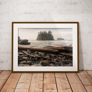 Könnte beinhalten: Ein gerahmtes Foto einer felsigen Insel mit Bäumen in der Ferne, umgeben von Wasser und Treibholz an einem Strand.