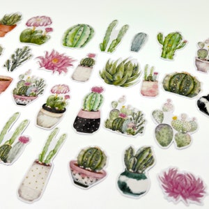 Pegatinas de cactus de acuarela, escamas de pegatinas de cactus, pegatinas en macetas de plantas, pegatinas de suculentas, hojas de flores, pegatinas para amantes de las macetas