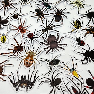 Cadeaus voor spinnenliefhebbers, stickers spider crafting, stickers insectendagboek, stickers schattige insecten vinyl, stickers Halloween, gunst Halloween