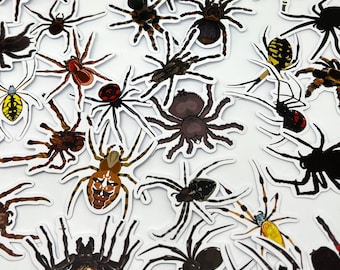 Spider Lovers Gifts, Spider Crafting Stickers, Insect Journal Stickers,Vinyl Cute Insects Stickers,Halloween Stickers,Halloween Party Favor