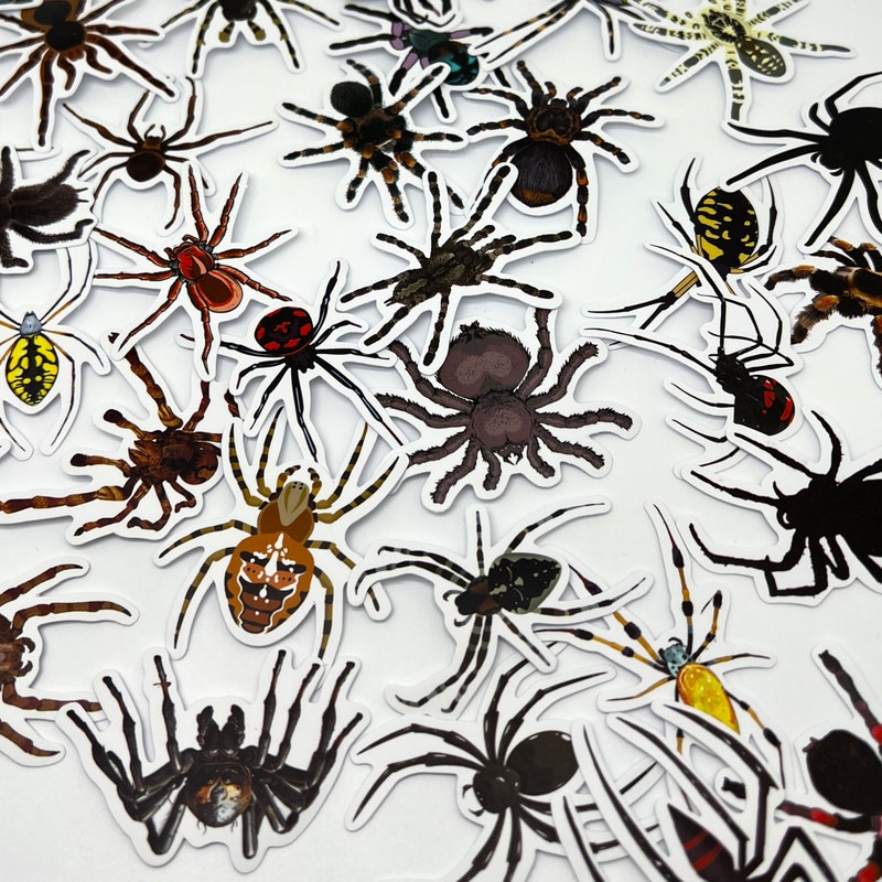 Sticker Spider Rectangular Spider Stickers - Etsy UK