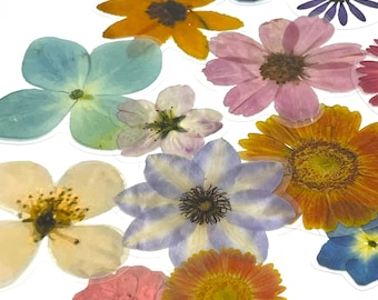 Pressed Flower Blossom Stickers, Wildflowers Stickers, Boho Floral Stickers, Meadow Flower Stickers, Dried Flower Bloom Stickers