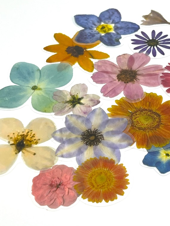 Pressed Flower Blossom Stickers, Wildflowers Stickers, Boho Floral Stickers, Meadow Flower Stickers, Dried Flower Bloom Stickers