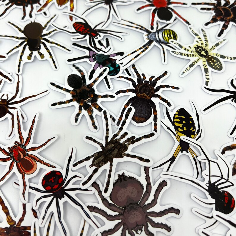 Simple Spider Sticker Spider Lovers Gifts, Spider Crafting Stickers, Insect Journal Stickers ...