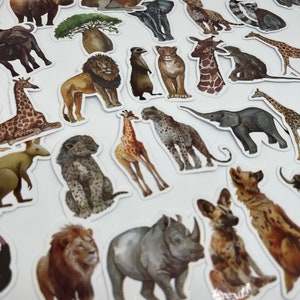 Pegatinas de animales africanos, decoración de la pared de la guardería, pegatinas de animales de la selva, pegatinas de profesores de guardería, pegatinas de etiquetas de favor de fiesta de animales de la selva