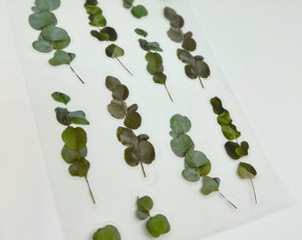 Eucalyptus Leaf Planner Stickers, Leaves Stickers, Eucalyptus Plant Stickers, Botanical Decorative Stickers, Scrapbook Stickers